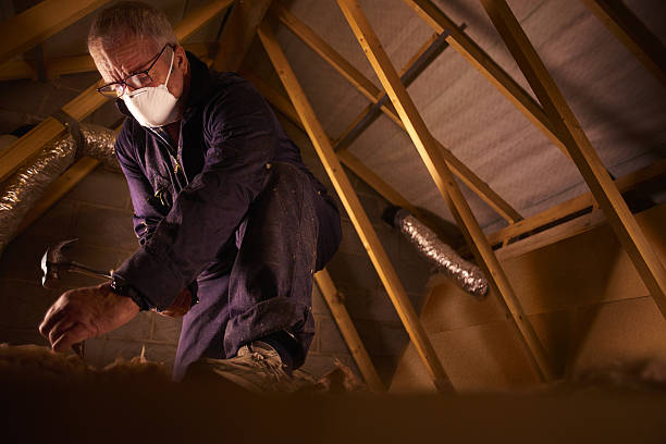 Best Specialty Insulation in Fremont, NC